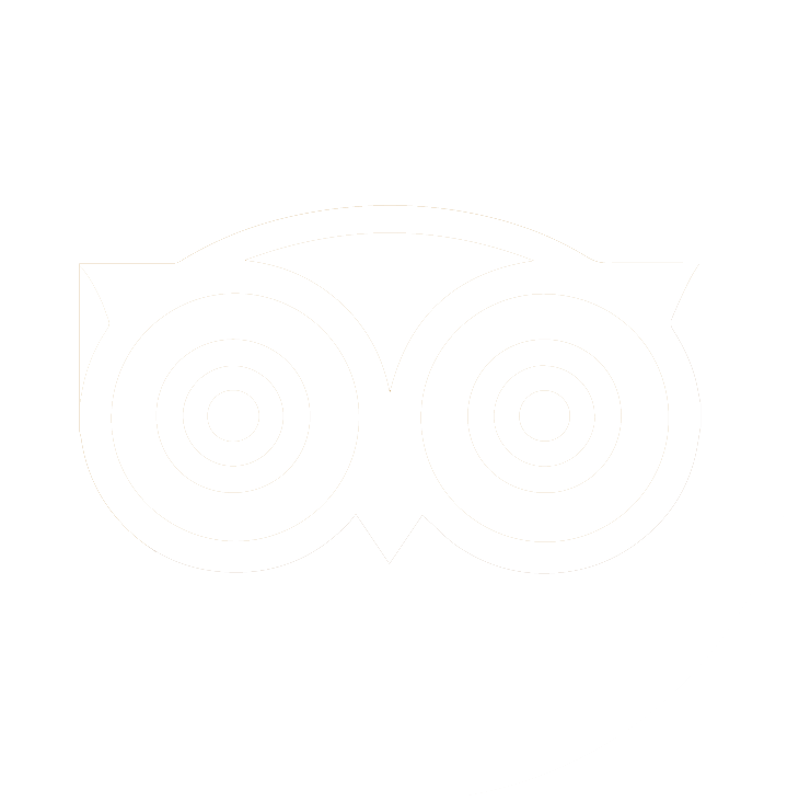 tripadvisor
